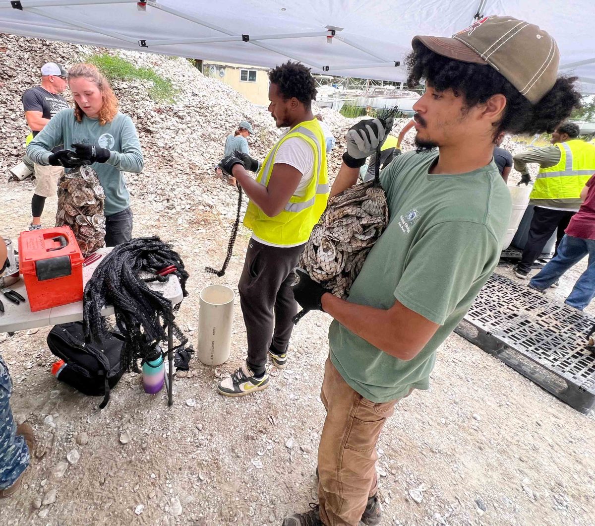 Get Paid to Train for a Green Career – Grow Home Baltimore