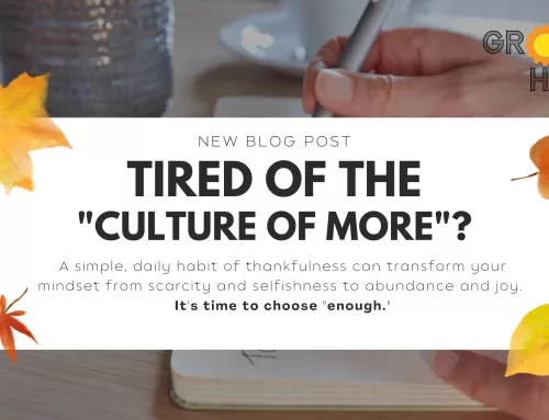 Guest Blog: “A Culture of More” | John Carver